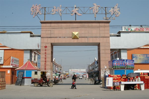 濮城鎮軍寨村新貌